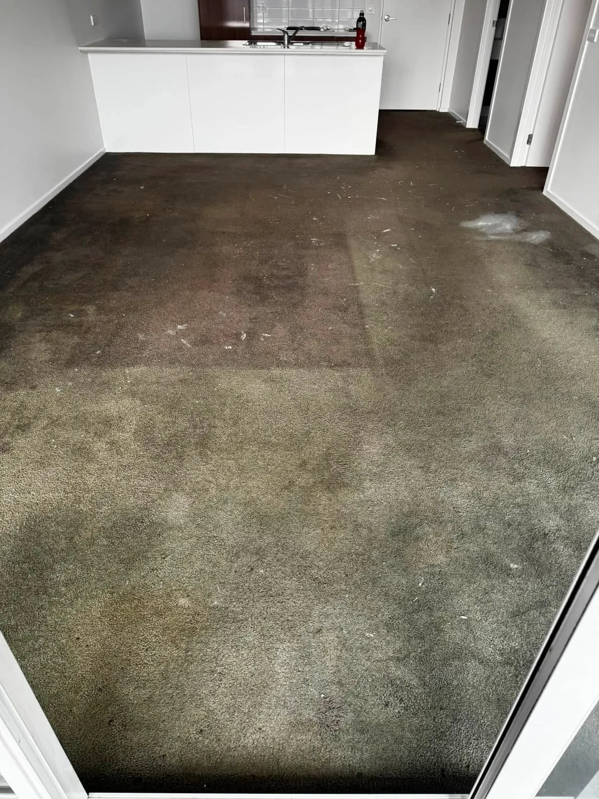 Living room with old, stained carpet before the job, kitchen bench at the back